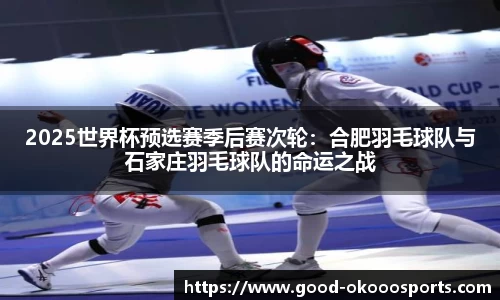 2025世界杯预选赛季后赛次轮：合肥羽毛球队与石家庄羽毛球队的命运之战