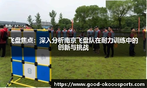 飞盘焦点：深入分析南京飞盘队在耐力训练中的创新与挑战
